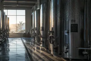 Stainless steel wine fermentation cellar at dawn with natural light, rows of inox tanks, cool and humid environment, no bottles or glasses visible.